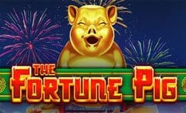 The Fortune Pig