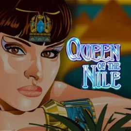 Queen of the Nile Pokie Machine